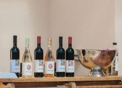 Bar Shahar Photographer - בר שחר צלם_-12