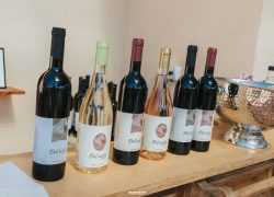 Bar Shahar Photographer - בר שחר צלם_-37